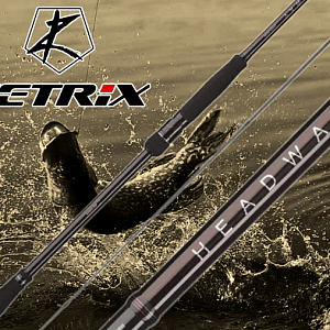 Поступление Zetrix Headway