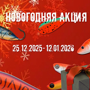 Новогодняя распродажа 2025